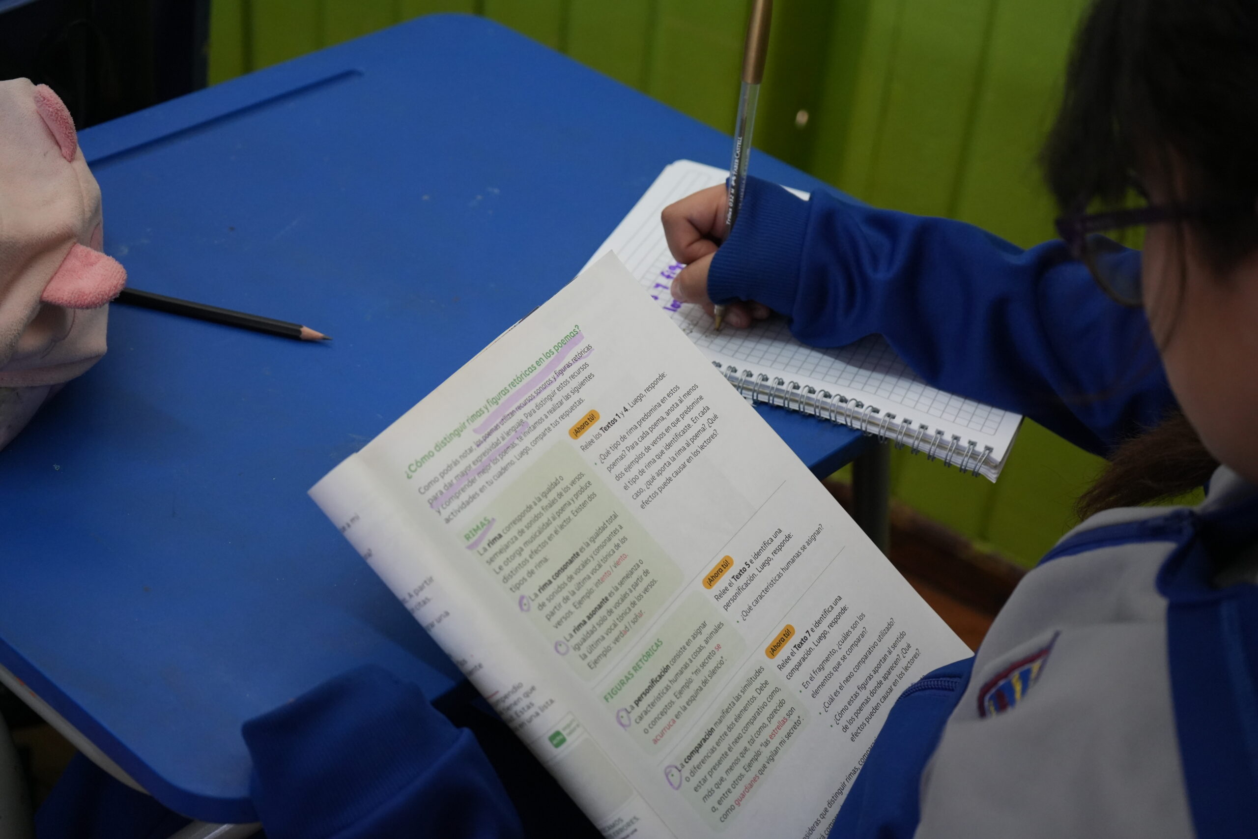 Proceso Bono Escolar 2026